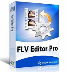 Moyea FLV Editor Pro v3.1.14